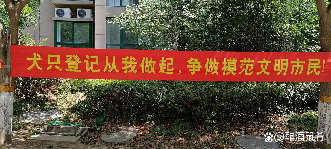 品轩百货